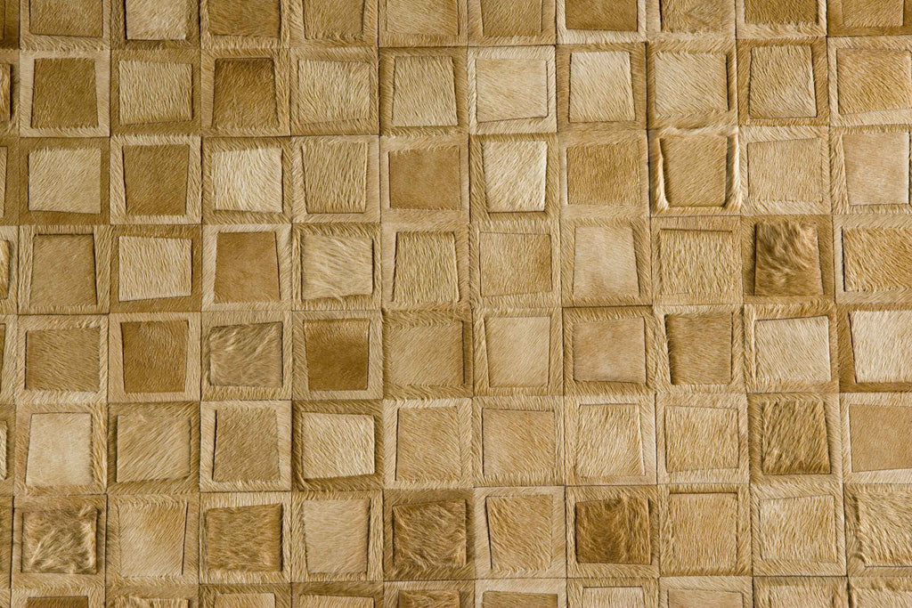 Kamera