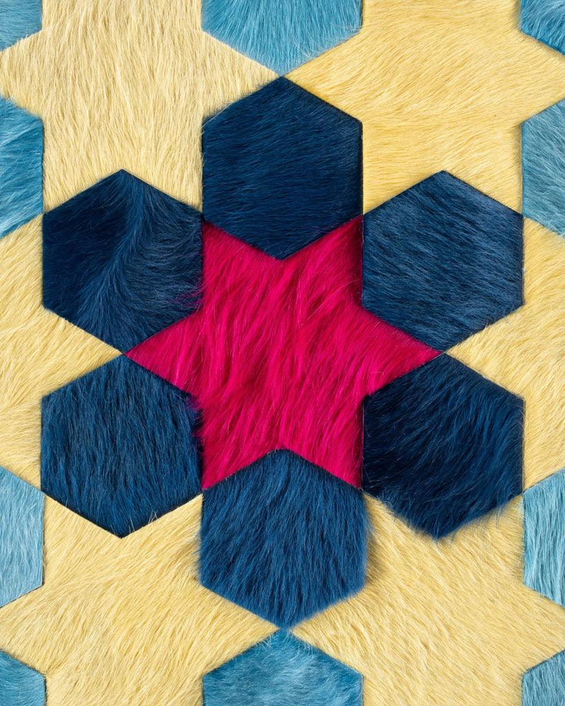 Carousel / Hide Rug / 19194