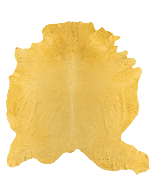 Lemon #17561