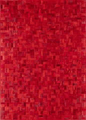 Anodyne / Hide Rug / 19161