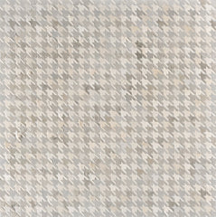 Black Dog / Hide Rug / 19540